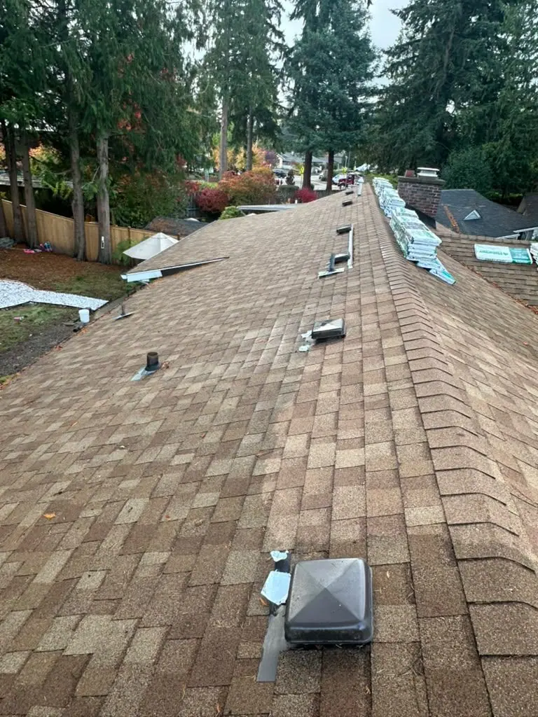 Long ridge finished in brown shingles