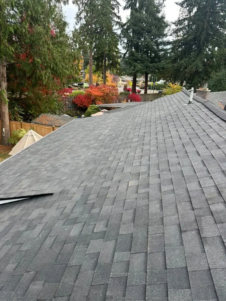 Finished grey shingle roof among the trees