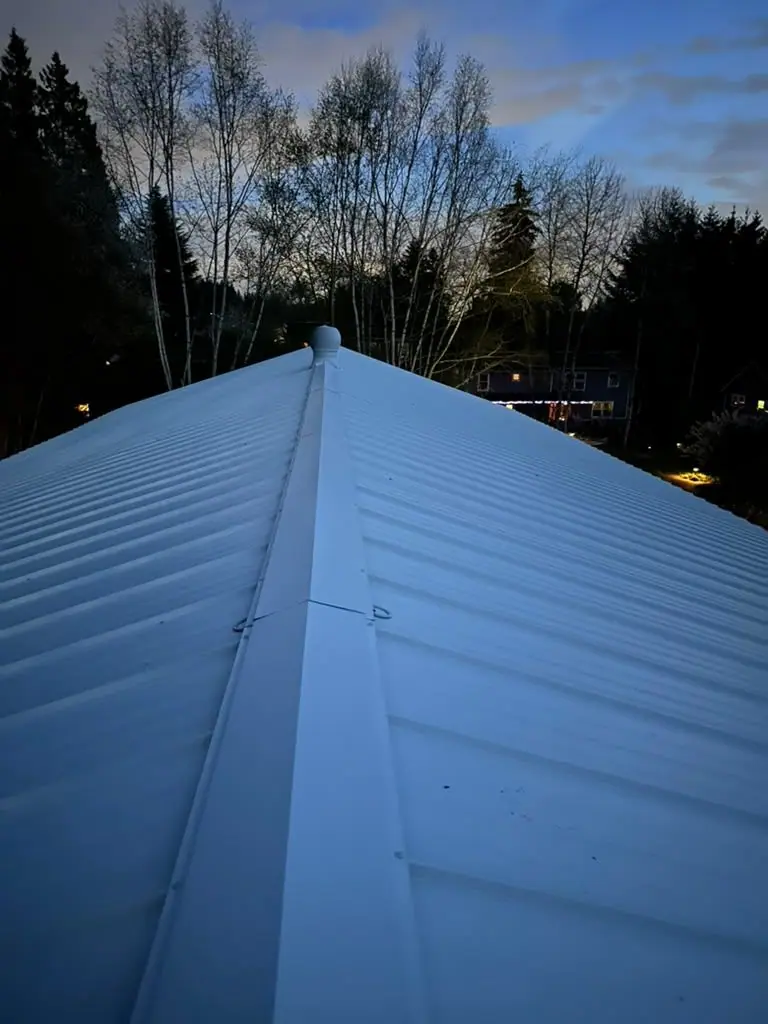 Finished metal roof at dusk