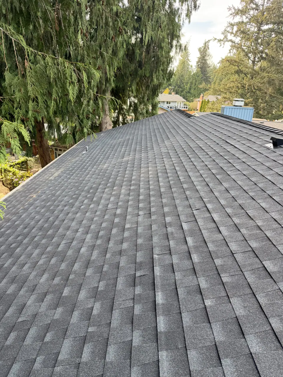 Long run of new charcoal shingles