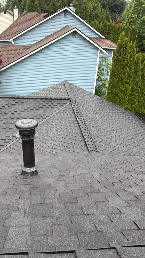 New vent stack on new shingles