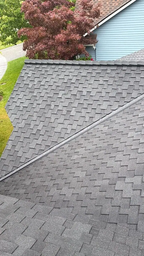 Clean shingle edge by the maple