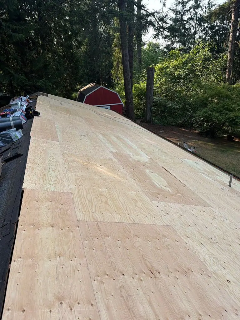 New plywood decking