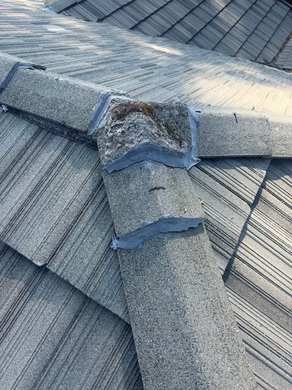 Failed mortar at the ridge