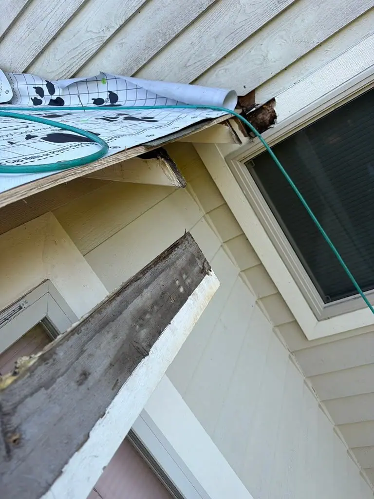Eave repair before the new underlayment