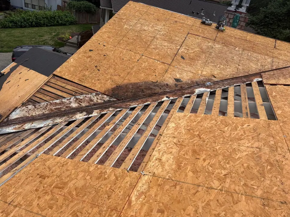 Plywood over the old boards