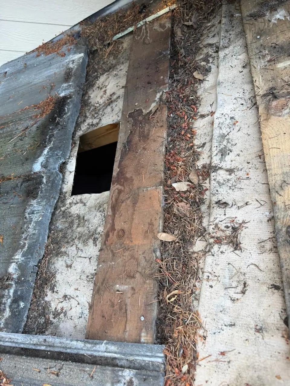 Before: rot around the old skylight