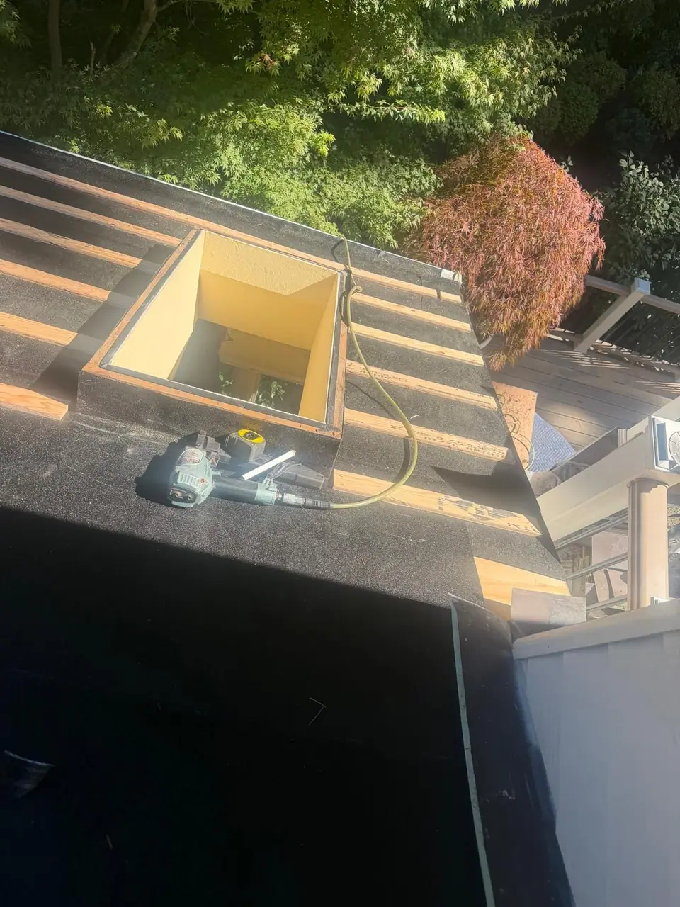 New skylights on a low-slope roof